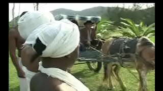 Сензала дӓ кыце Неграс