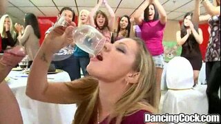 Dancingcock Tikaokao Big Whakanui